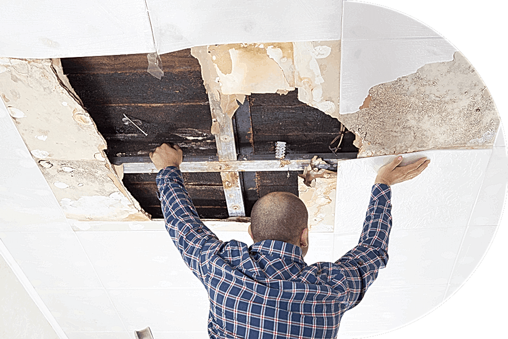 Hasar onarım ve montaj