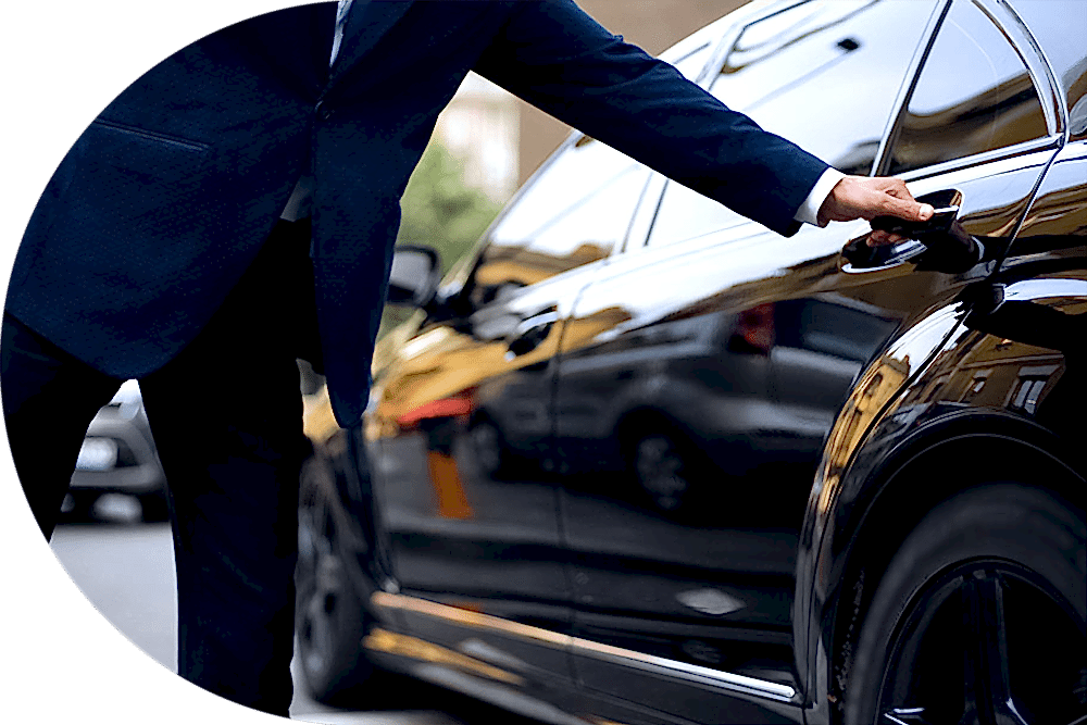 Profesyonel sürücü hizmeti Profesyonel sürücü hizmeti